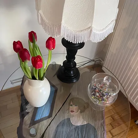 Comfortable In Apartament